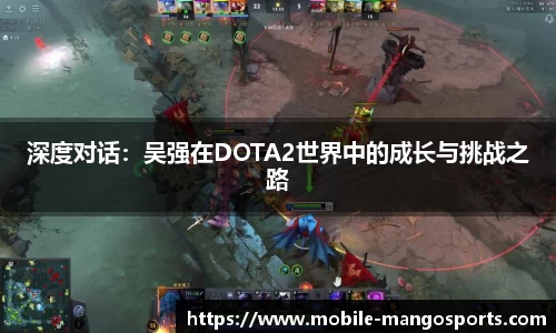 深度对话:吴强在DOTA2世界中的成长与挑战之路